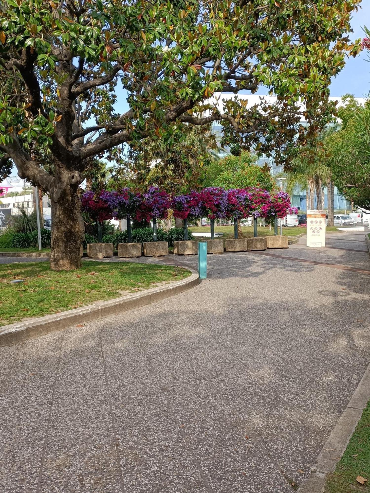 Gallieni Apartment Cannes Luaran gambar